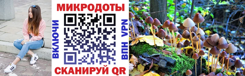 Псилоцибиновые грибы мухоморы  Асбест 