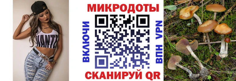 Псилоцибиновые грибы мицелий Асбест